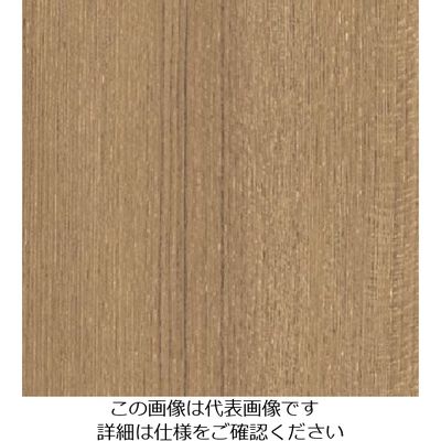 スリーエム ジャパン 3M ダイノックフィルム FWー1273 1220mmX50m FW1273 1巻 104-5222（直送品）