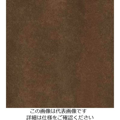 スリーエム ジャパン 3M ダイノックフィルム AEー1645 1220mmX50m AE1645 1巻 104-6724（直送品）