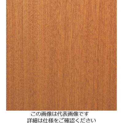 スリーエム ジャパン 3M ダイノックフィルム FWー612 1220mmX50m FW612 1巻 104-9893（直送品）