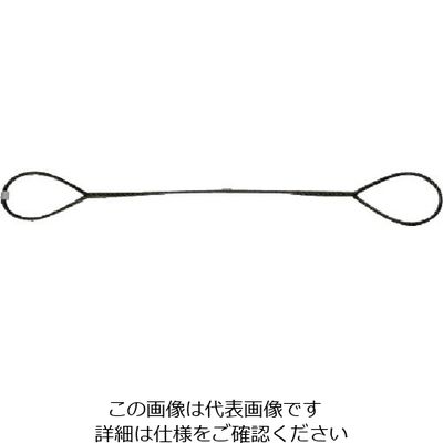 日興製綱 ニッコウ 台付けワイヤー スリング径6mm 全長5m D6-5 1セット（20本） 815-7627（直送品）