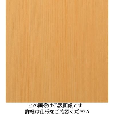 スリーエム ジャパン 3M ダイノックフィルム WGー845 1220mmX50m WG845 1巻 104-8659（直送品）