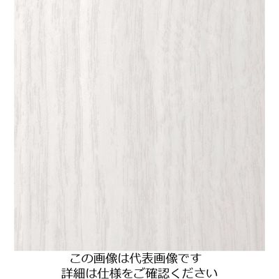 スリーエム ジャパン 3M ダイノックフィルム FWー1683 1220mmX50m FW1683 1巻 103-2702（直送品）