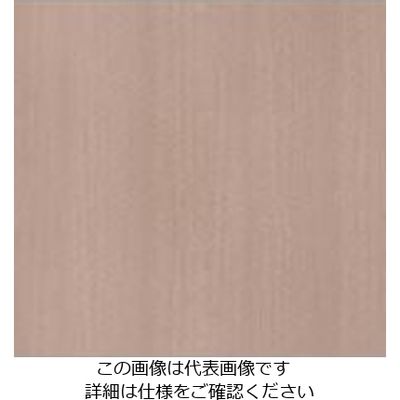 スリーエム ジャパン 3M ダイノックフィルム WGー696 1220mmX50m WG696 1巻 103-7637（直送品）