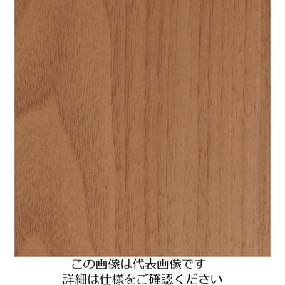 スリーエム ジャパン 3M ダイノックフィルム FWー1743 1220mmX50m FW1743 1巻 103-1014（直送品）