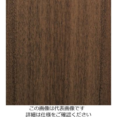 スリーエム ジャパン 3M ダイノックフィルム FWー650 1220mmX50m FW650 1巻 102-9491（直送品）