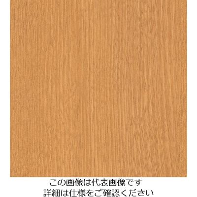 スリーエム ジャパン 3M ダイノックフィルム FWー234 1220mmX50m FW234 1巻 104-6775（直送品）