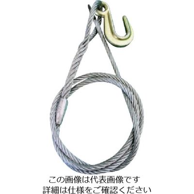 日興製綱 ニッコウ 荷締機用替ワイヤー N-6 1セット（20個） 815-7635（直送品）