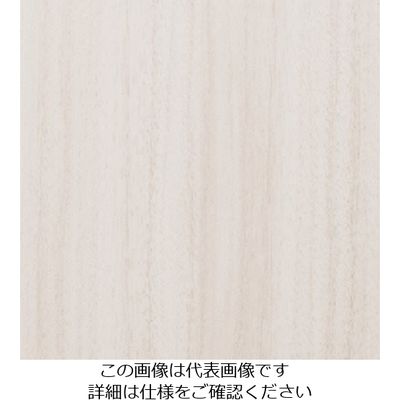 スリーエム ジャパン 3M ダイノックフィルム FWー1208 1220mmX50m FW1208 1巻 104-8360（直送品）