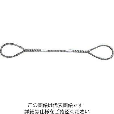 日興製綱 NIKKO Wスリング(裸) 全長3.0m スリング径20mm W20-3H 1セット(2本) 815-7448（直送品）