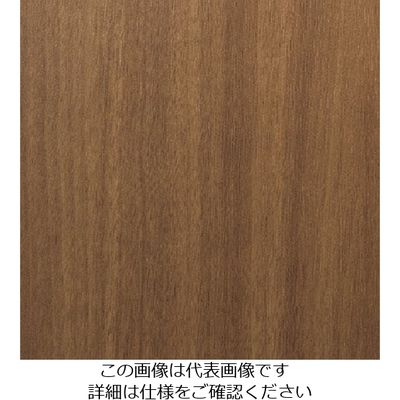 スリーエム ジャパン 3M ダイノックフィルム WGー1369 1220mmX50m WG1369 1巻 104-3979（直送品）