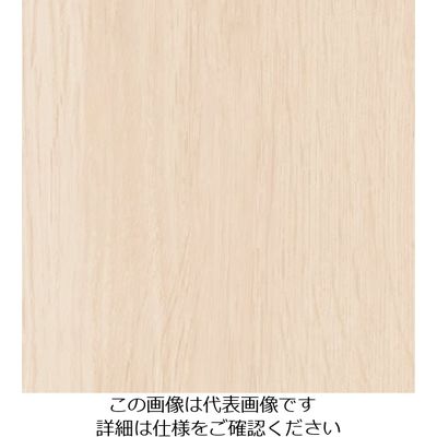 スリーエム ジャパン 3M ダイノックフィルム FWー1255 1220mmX50m FW1255 1巻 103-5774（直送品）