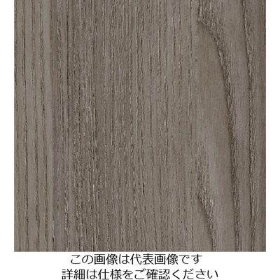 スリーエム ジャパン 3M ダイノックフィルム FWー1259 1220mmX50m FW1259 1巻 103-4265（直送品）