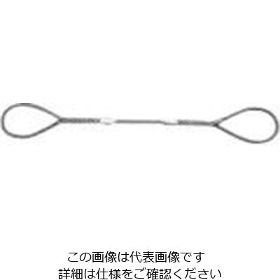 日興製綱 ニッコウ Wスリング 全長2.5m スリング径14mm WR-14S25 1セット（10本） 815-7497（直送品）
