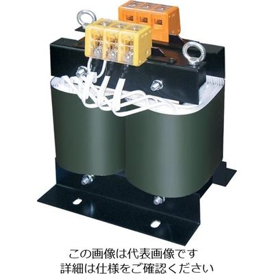 スワロー電機 スワロー 電源トランス(降圧専用タイプ) 4000VA PC41-4000 1台 851-3673（直送品）