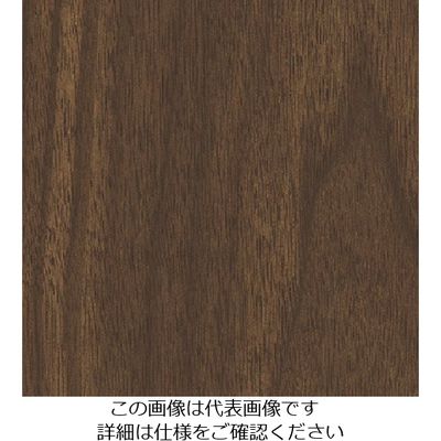 スリーエム ジャパン 3M ダイノックフィルム FWー651 1220mmX50m FW651 1巻 103-4217（直送品）