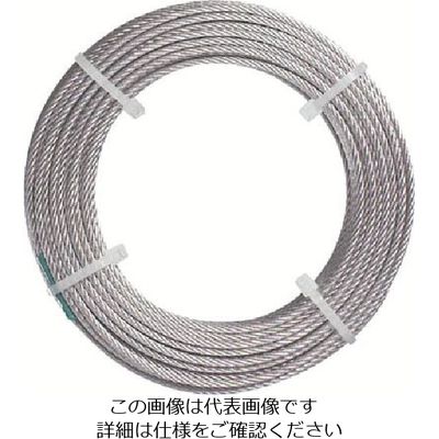 日興製綱 ニッコウ カットワイヤーメッキ無し ワイヤ径6mm 全長100m 使用荷重290kg CWB6100H 1巻 815-7536（直送品）