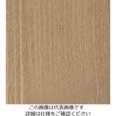 スリーエム ジャパン 3M ダイノックフィルム FWー1755 1220mmX50m FW1755 1巻 103-4259（直送品）