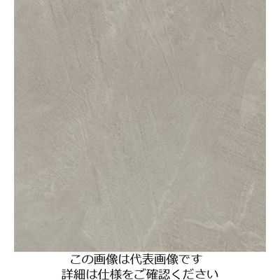 スリーエム ジャパン 3M ダイノックフィルム AEー1717 1220mmX50m AE1717 1巻 104-9989（直送品）