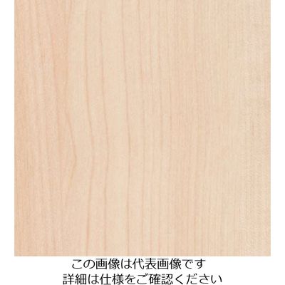 スリーエム ジャパン 3M ダイノックフィルム FWー1261 1220mmX50m FW1261 1巻 104-9947（直送品）