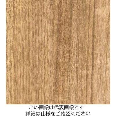 スリーエム ジャパン 3M ダイノックフィルム FWー1296 1220mmX50m FW1296 1巻 103-4254（直送品）