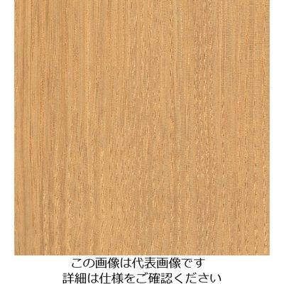 スリーエム ジャパン 3M ダイノックフィルム FWー1810 1220mmX50m FW1810 1巻 104-8389（直送品）