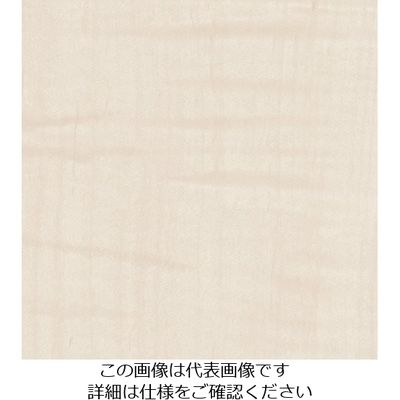 スリーエム ジャパン 3M ダイノックフィルム WGー1711GN 1220mmX25m WG1711GN 1巻 104-7086（直送品）