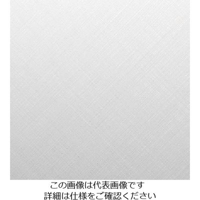 スリーエム ジャパン 3M ダイノックフィルム CHー1627 1220mmX50m CH1627 1巻 104-9985（直送品）