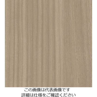 スリーエム ジャパン 3M ダイノックフィルム WGー1703 1220mmX50m WG1703 1巻 103-9182（直送品）