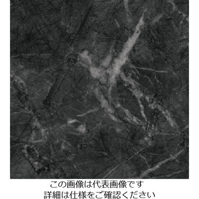 スリーエム ジャパン 3M ダイノックフィルム STー1587 1220mmX50m ST1587 1巻 103-2681（直送品）