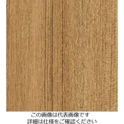 スリーエム ジャパン 3M ダイノックフィルム FWー1272 1220mmX50m FW1272 1巻 104-9990（直送品）