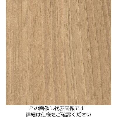 スリーエム ジャパン 3M ダイノックフィルム WGー1837 1220mmX50m WG1837 1巻 104-7068（直送品）
