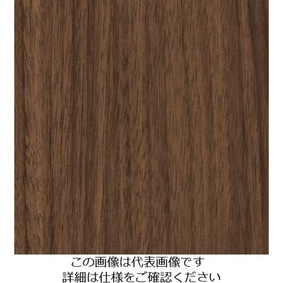 スリーエム ジャパン 3M ダイノックフィルム WGー1841 1220mmX50m WG1841 1巻 104-3963（直送品）