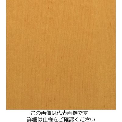スリーエム ジャパン 3M ダイノックフィルム WGー831 1220mmX50m WG831 1巻 104-3934（直送品）