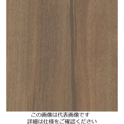 スリーエム ジャパン 3M ダイノックフィルム WGー1708 1220mmX50m WG1708 1巻 103-9234（直送品）