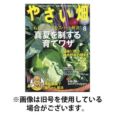 やさい畑 2025/12/27発売号から1年(6冊)(雑誌)（直送品）