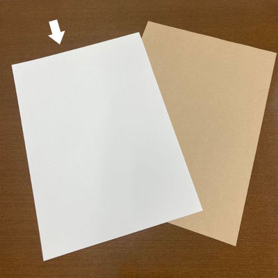 日本紙パルプ商事 筆記具 エコファイル ホワイト 00401024 1ケース(500個(100個×5))（直送品）