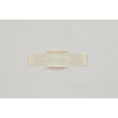 福助工業 軽食容器 紙竹皮 No.2 00561302 1ケース(2000個(100個×20))（直送品）