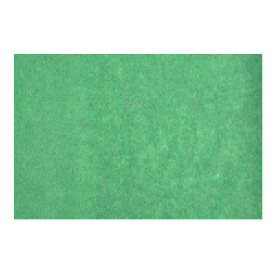 日本紙パルプ商事 保鮮紙 グリーンパーチ 21 381×254 00749318 1ケース(80000個(1000個×80))（直送品）