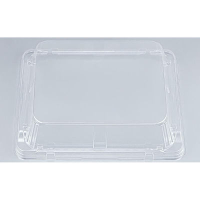 シーピー化成 BF揚盛24-20 嵌合蓋 0773242090008 1ケース(600個(50個×12))（直送品）