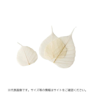 萬洋 新涼木の葉 100枚入 S 18792S 1ケース(1個)（直送品）