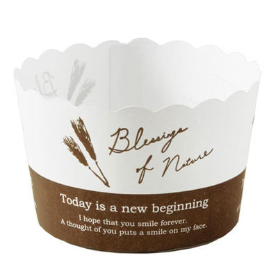 天満紙器 ケーキカップ M567 ベーキングカップ (小麦) 2640654 1ケース(2000個(100個×20))（直送品）