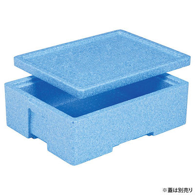 三甲 保存箱 EPボックス#22 76030100BLEP 1ケース(10個(1個×10))（直送品）