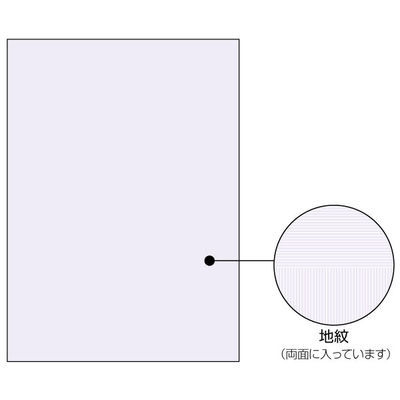 ヒサゴ プリンター用紙 マルチプリンタ帳票 コピー偽造予防用紙 浮き文字タイプ A4両面 1000枚入 BP2110Z 1ケース(1個)（直送品）