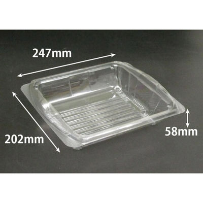 リスパック 汎用トレー バイオ アールケース 25-20B PKCC422 1ケース(400個(50個×8))（直送品）