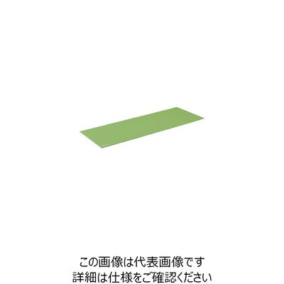 淡野製作所 ヨガマット ライトグリーン D-7219LG 1枚 7-9053-02（直送品）