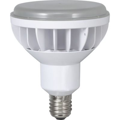 畑屋製作所 ハタヤ 40W LED作業灯用交換球 LDR40N-H110 1個 126-5021（直送品）