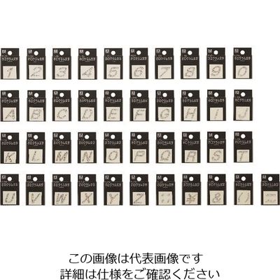 光 ホログラム文字 ¥ FM20-12 1セット(5枚) 224-6138（直送品）