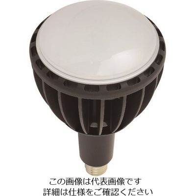 日動工業 日動 LED交換球 エコビック100W E39 昼白色 ワイド L100W-E39J-WBK-50K 1個 161-8926（直送品）