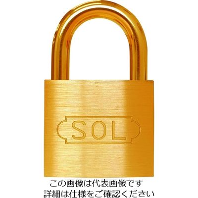 清水 SOL NO.2500 共通同一錠 40 2500SK-40 1個 849-0152（直送品）