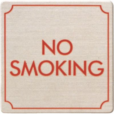 光 ステンレスサインプレート NO SMOKING FS893-15 1枚 224-7648（直送品）